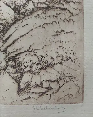 Jan Coenraad Nachenius - Landschap in Ierland kopen? Bied vanaf 50!