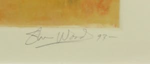 Steve Wood - Monoprint, Z.T. 1 - Ingelijst kopen? Bied vanaf 35!