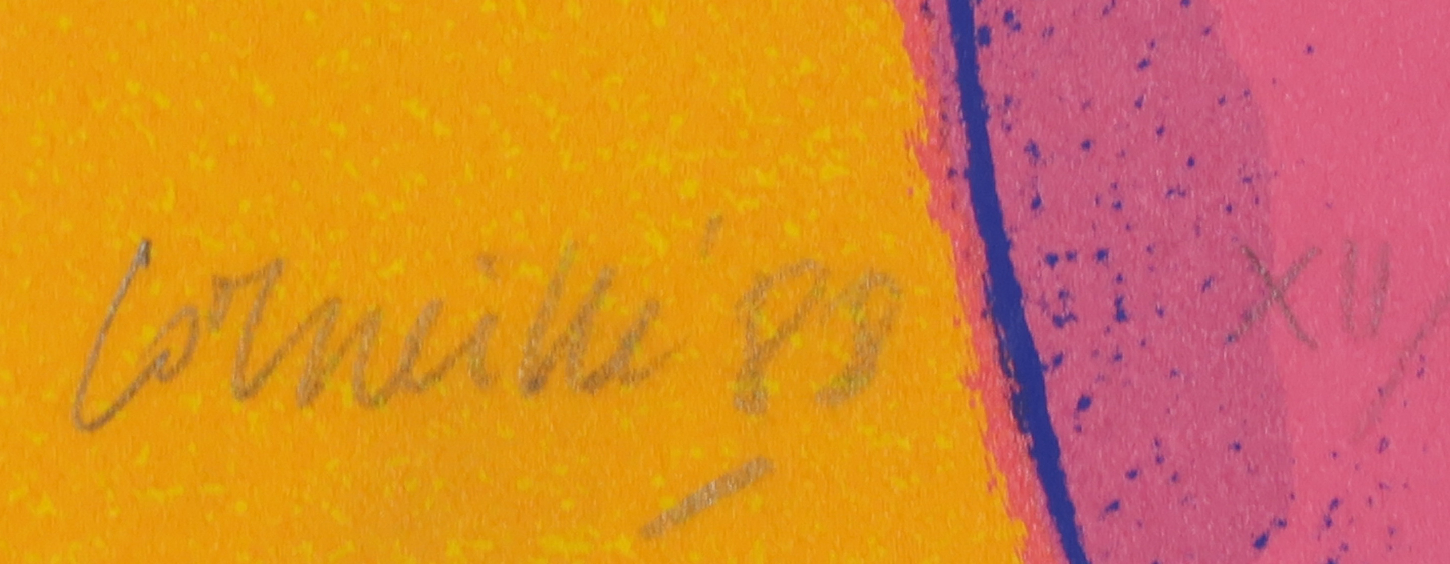 Corneille - Litho, La sensualitï¿½ du sensible kopen? Bied vanaf 70!