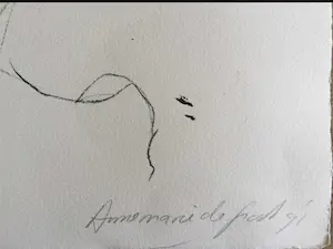 Annemarie de Groot - Subtiel naakt | Grote kleuren zeefdruk kopen? Bied vanaf 44!