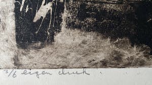 Jan Montyn - Mens en totemdier kopen? Bied vanaf 100!