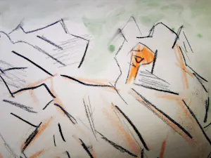 Jan Sierhuis - Tekening krijt/acryl kopen? Bied vanaf 1!