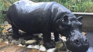 Stefano Patti - HIPPOPOTAMUS kopen? Bied vanaf 10000!