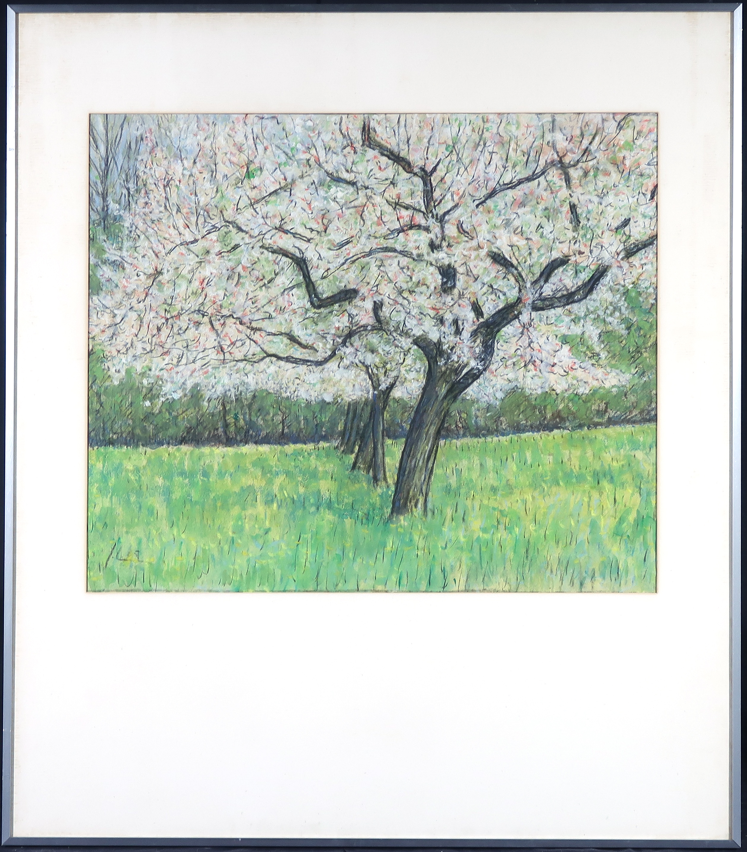 Jo Lodeizen - Krijt en gouache, Bloeiende boom - Ingelijst verkocht voor € 70!