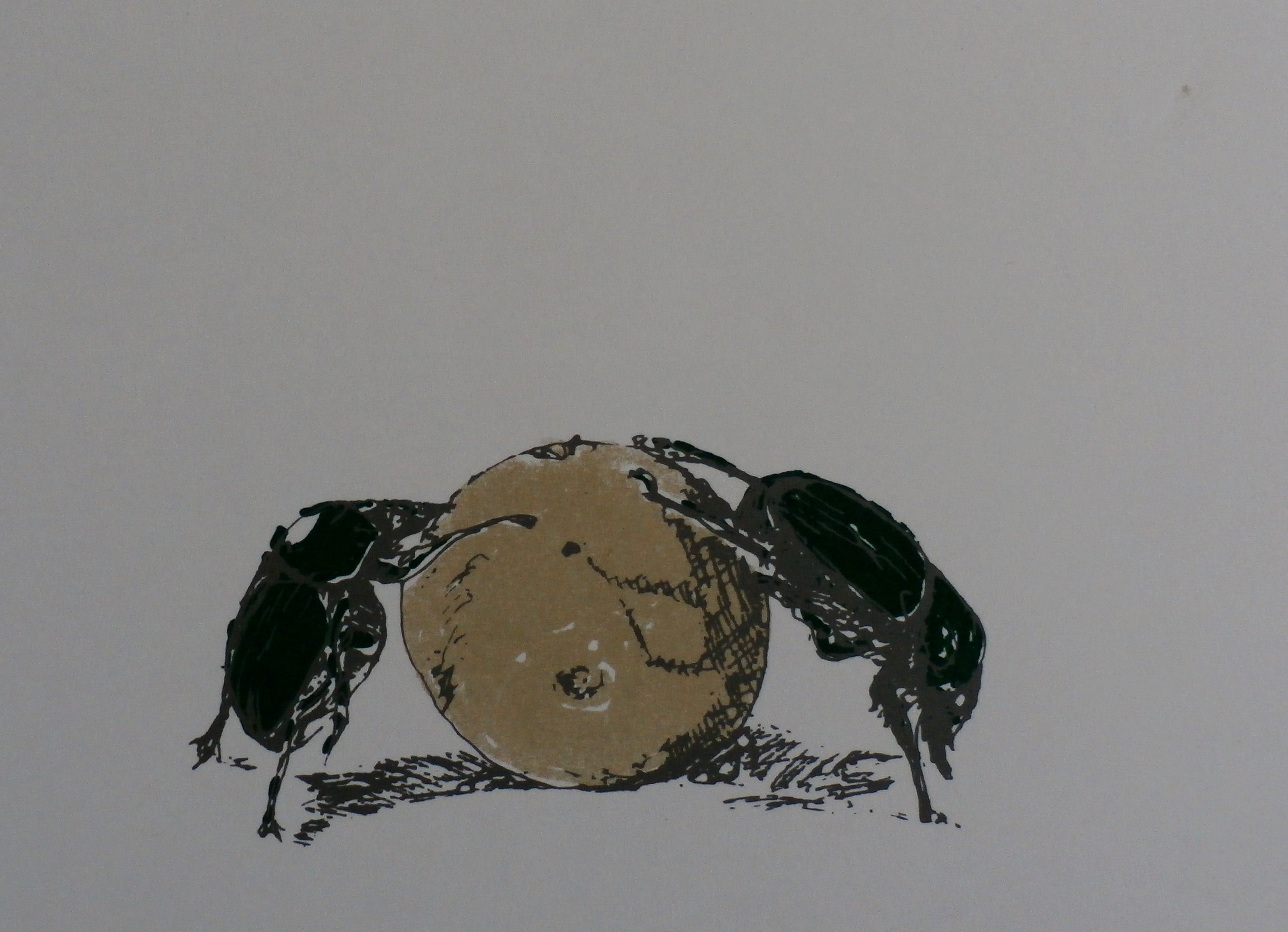 Benjamin Frankel - zeefdruk: mestkevers kopen? Bied vanaf 20!