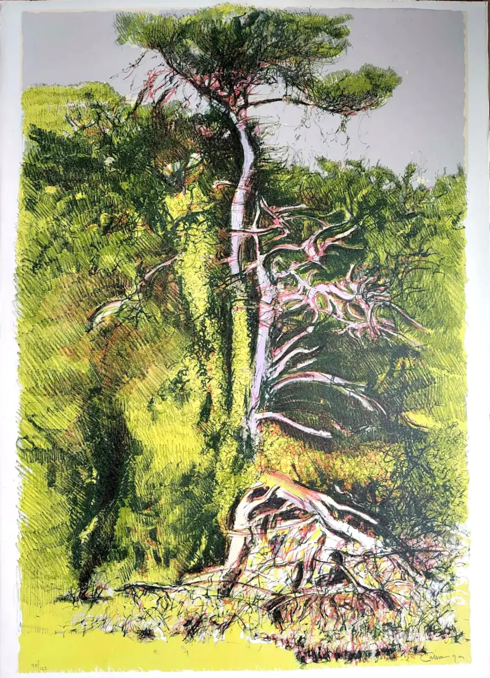 Giancarlo Cazzaniga (1930-2013)