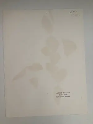 Andre Beaudin - Feuilles évadées kopen? Bied vanaf 1!