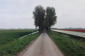 Bob Negryn - Foto, Noord Holland I - Ingelijst kopen? Bied vanaf 30!