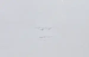 Ilona Kósa - Zeefdruk op hardboard en plexiglas, Variatie A.E. - Ingelijst kopen? Bied vanaf 1!