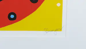 Shunyam - Zeefdruk, I Can Fly - Ingelijst kopen? Bied vanaf 50!