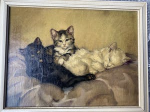 De Ruys-Tydeman - Poezen kopen? Bied vanaf 450!