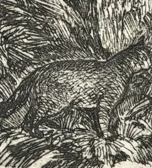 Ank Spronk - Poezen in de maneschijn kopen? Bied vanaf 20!