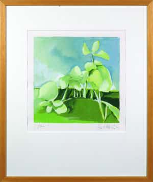 Fon Klement - Zeefdruk, Groene orchideeën - Ingelijst verkocht voor € 50!