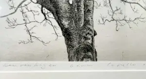 Wim van der Meij - Capelle aan de IJssel kopen? Bied vanaf 69!