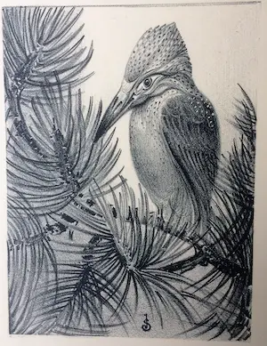 Jan Schonk - Lithografie IJsvogel 1929 kaufen? Bieten Sie von 45!