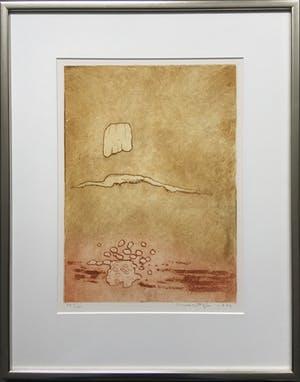 Jan Montyn - kleurenets - 1996 - oplage 25 - ingelijst kopen? Bied vanaf 135!