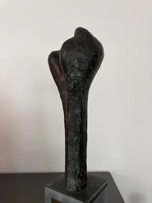 Michiel van Pinxteren - Vruchtbare samenwerking kopen? Bied vanaf 399!