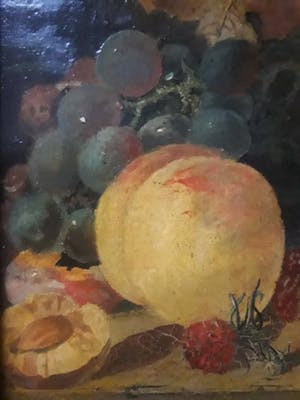 Niet of onleesbaar gesigneerd - Stilleven. kopen? Bied vanaf 10!