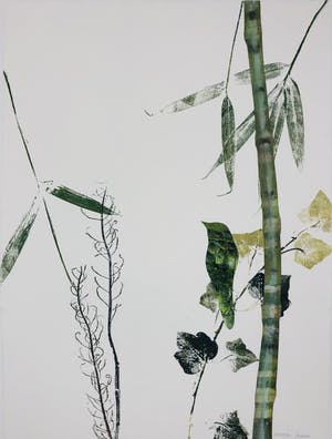 Marjan Jaspers - Bamboe bird kopen? Bied vanaf 120!