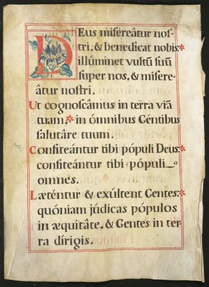 Curiosa - Deus misereatur, met de hand geschilderd op perkament kopen? Bied vanaf 60!