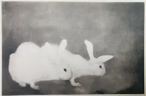 Jan Mankes - Originele Heliogravure 2 Konijntjes 1923 kopen? Bied vanaf 120!