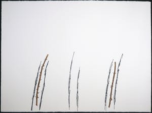 John van 't Slot - Gouache en stift, Doorntakken kopen? Bied vanaf 50!