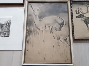 Niet of onleesbaar gesigneerd - Lot van 7 Verschillende prentjes - Gesigneerd kopen? Bied vanaf 1!