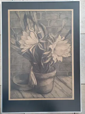 Aart van Dobbenburgh - Plant in bloempot. kopen? Bied vanaf 75!