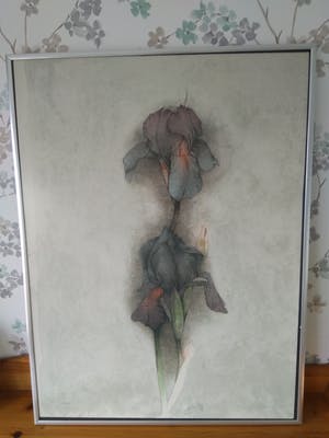 Bruno Bruni - Serie Florilegium (3 werken) kopen? Bied vanaf 120!