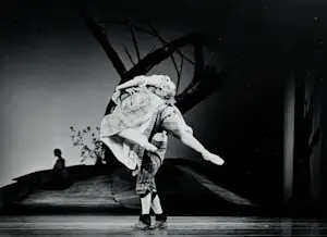 Erwin Olaf - Gelatine silver print kopen? Bied vanaf 195!