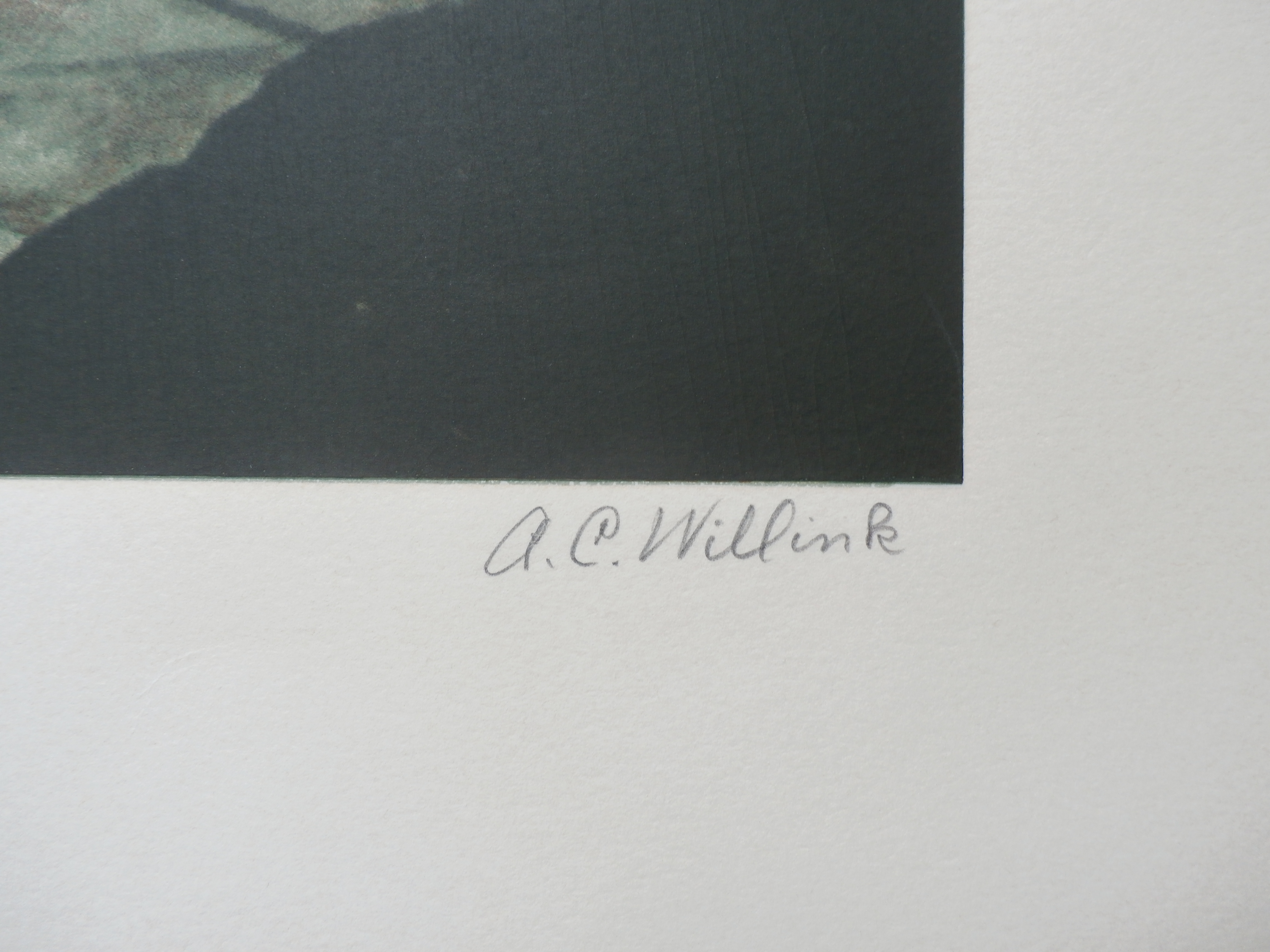 Carel Willink - litho: De Tate Gallery verplaatst - 1979 kopen? Bied vanaf 850!