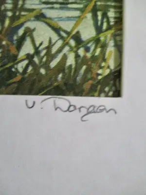 Niet of onleesbaar gesigneerd - 19 diverse vogelvoorstellingen kopen? Bied vanaf 1!