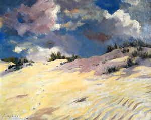 Jo Schrijnder - Roofvogel vliegend boven duinen, olieverf op doek (groot) verkocht voor € 1250!