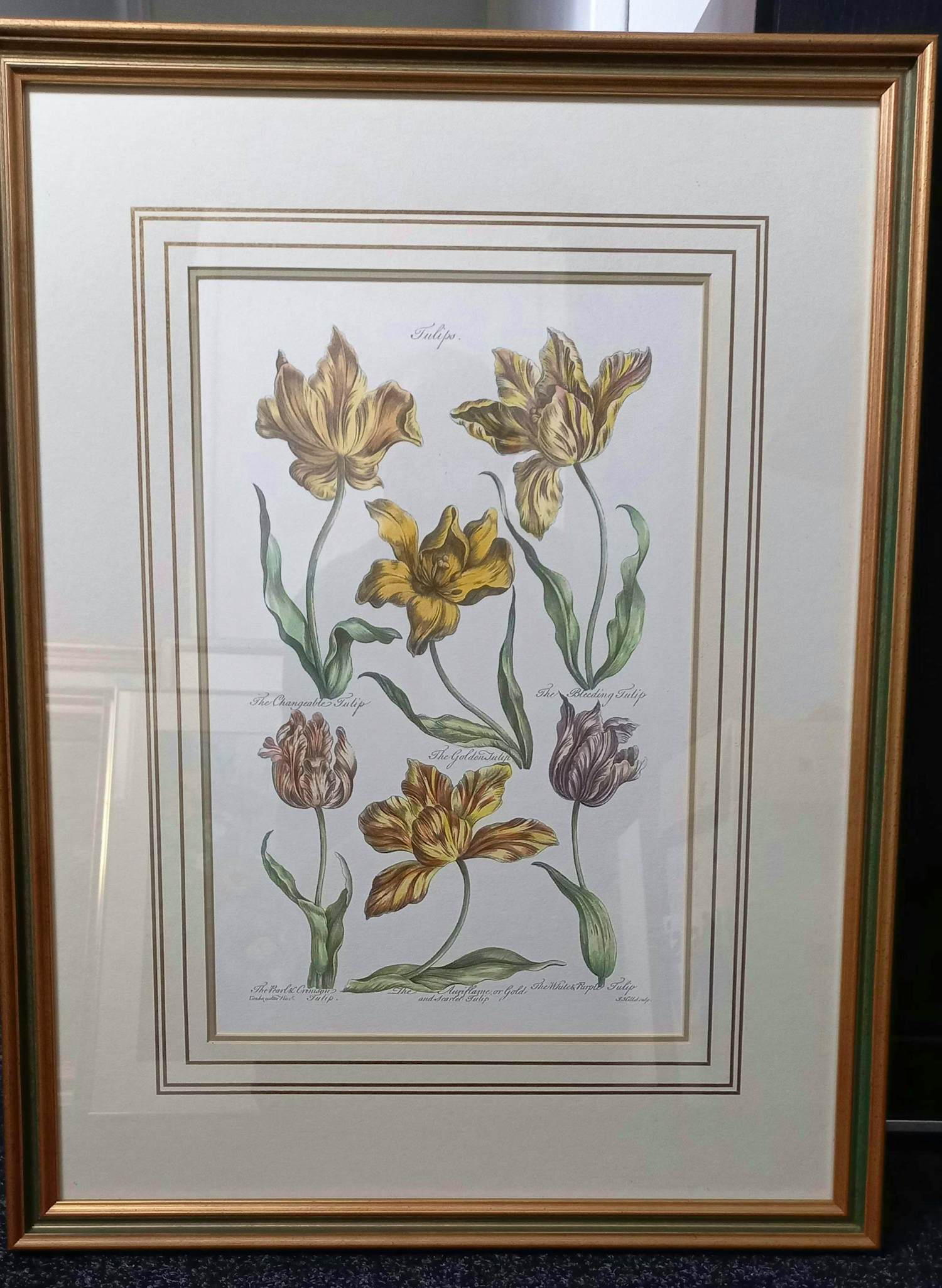 John Hill - Gravures van bloemen. kopen? Bied vanaf 100!