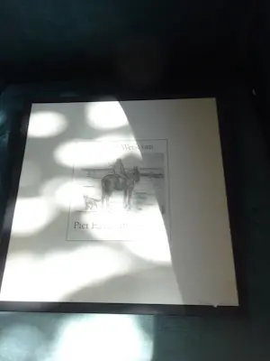 Antiquarisch Boek - Piet Hein van Asperen, lven en werk 1895-1969 kopen? Bied vanaf 35!