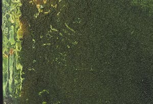 Matt Lamb - Olieverf op doek, Zonder titel kopen? Bied vanaf 1!