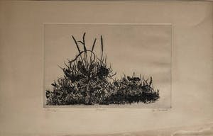Willem Minderman - 2 etsen: Planten en Distel met Kurhaus kopen? Bied vanaf 1!