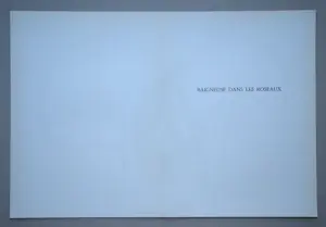 Henri Matisse - Badende in het riet - 1958 - Verve editie 35/36 - Mourlot kopen? Bied vanaf 80!