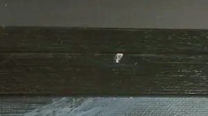 Charlotte Molenkamp - Olieverf op doek, Zonder titel - Ingelijst (Zeer groot) kopen? Bied vanaf 2000!