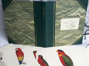 Edward Lear - Portfolio met 12 prenten van Papegaaien en Parkieten - 1990 kopen? Bied vanaf 10!