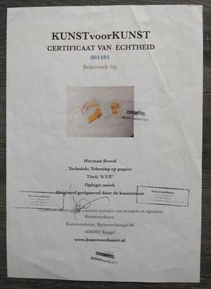 Herman Brood - s.v.p. toch (nog) herman b. kopen? Bied vanaf 350!