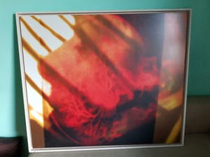 Phil van Wamel - Brainhair I. Mooie grote foto in houten baklijst. kopen? Bied vanaf 1!