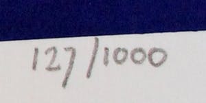 Rob Scholte - Zeefdruk: Copyright kopen? Bied vanaf 175!