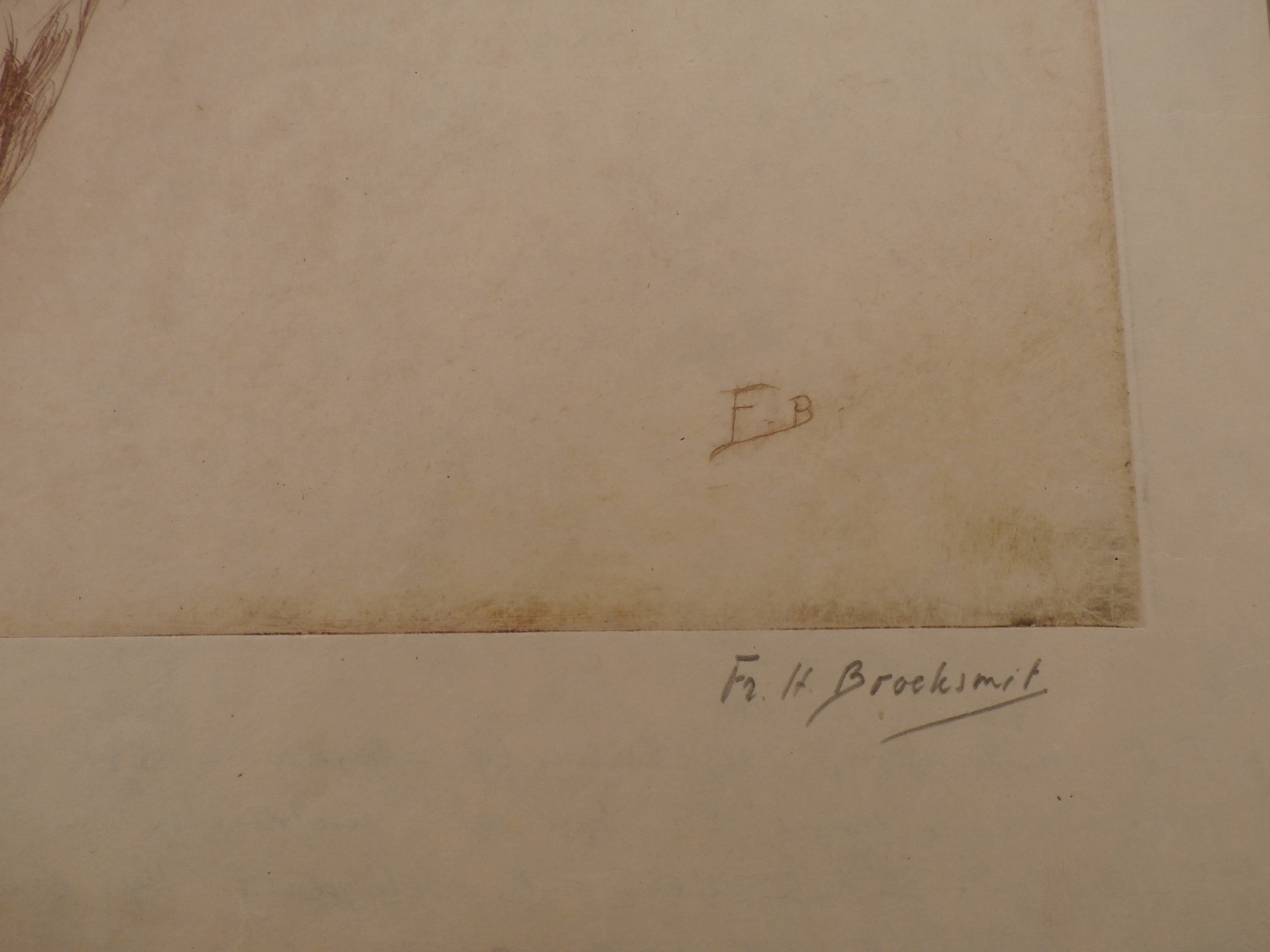 Frederika Broeksmit - ets: vogel kopen? Bied vanaf 45!