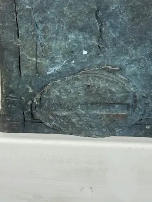 Mieke Oldenburg - Brons, Zittend vrouwfiguur kopen? Bied vanaf 300!