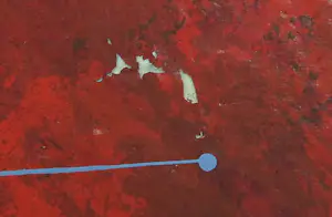 Piotr Konkel - Zeefdruk, Zonder titel kopen? Bied vanaf 1!