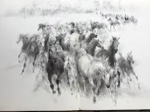 Piet Klaasse - Paarden, proefdrukken offsetlitho, 2-zijdig bedrukt, gesigneerd in druk kopen? Bied vanaf 25!
