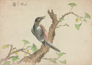 Niet of onleesbaar gesigneerd - 19e eeuwse Houtdruk, Vogel op tak kaufen? Bieten Sie von 1!