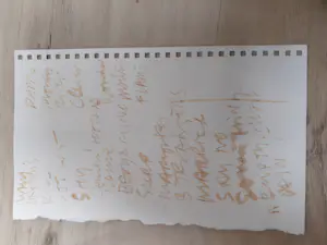 Herman Brood - Handgeschreven setlist en achterzijde tekening kopen? Bied vanaf 100!