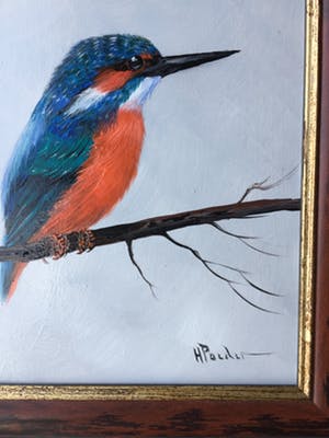 Henk Poeder - Ijsvogel kopen? Bied vanaf 79!